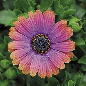 Be Good too YOU👣👀💋